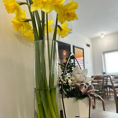 Aqua Prenociste Palić